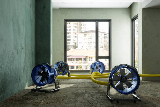 Professional Water damage restoration in Hubbard, OR
